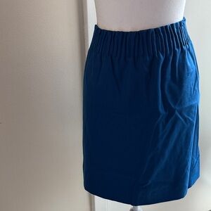Elegant Blue Women's Skirt